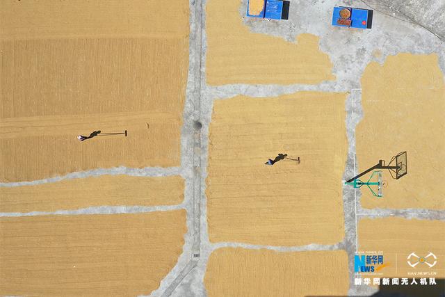 无人机航拍重庆黔江：秋高气爽好晒谷