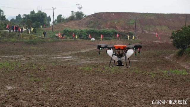 提高效率，5分钟1亩地，璧山区首次使用无人机撒播油菜种子！