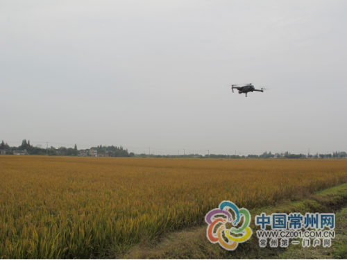 溧阳市公证处无人机航拍开启证据保全公证新模式