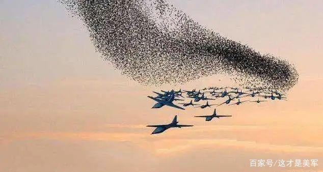 美军无人机“蜂群”有多强，怎么破