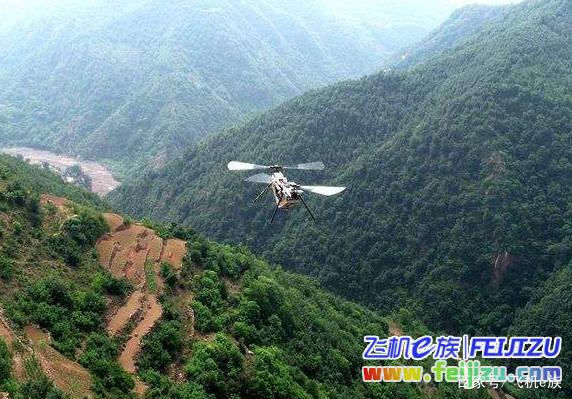 无人机为树木“治病”，提高油松林的健康状况