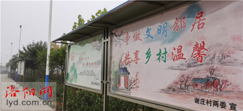 伊川这个村有4架无人机！听听村支书怎么说