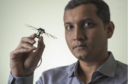 下一代无人机可以学习大黄蜂的智能感知灵巧飞行