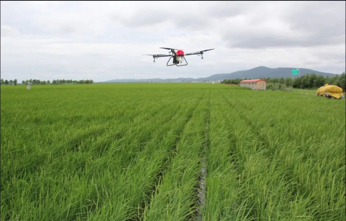 无人机想要安全植保，还得需知道正确的操作方式
