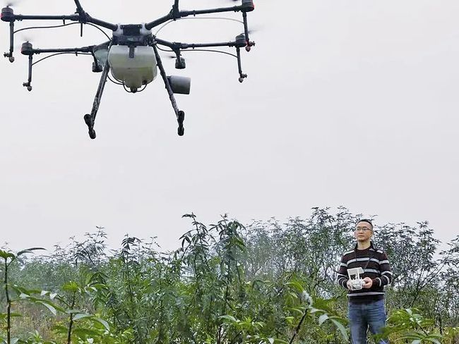 走向我们的小康生活 | 操控无人机的庄稼人