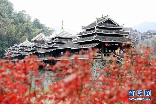 「“飞阅”中国」冬染侗乡“枫”景美