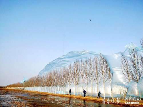 无人机、激光炮齐上阵，国网济宁供电公司消除线路安全隐患