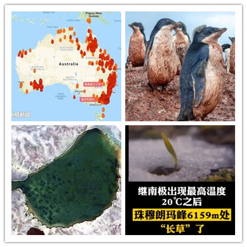 植树不护林，全都等于零！——植树节特辑之松材线虫病监测