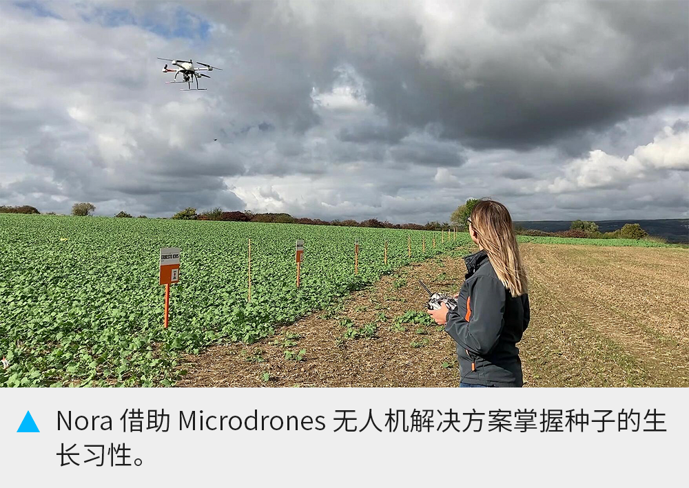 视频 | Microdrones 无人机方案助力农业调查和优化育种项目