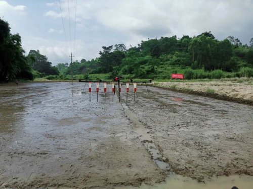 水稻专题｜无人机直播稻这样管水，高效又高产