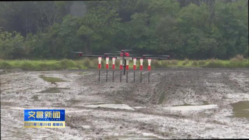 文昌首次开展无人机水稻直播作业