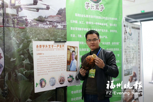 卢金光：“芋头王子”用上无人机