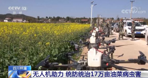 各地气温回升 各项农业生产正在进行