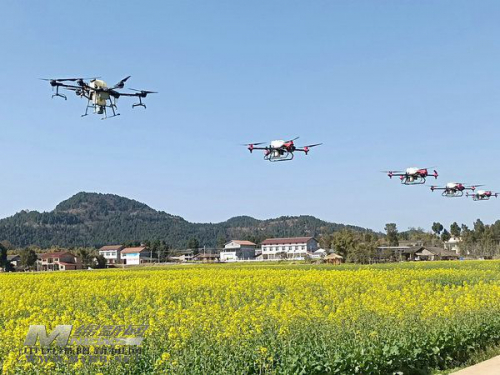 无人机来了 防治油菜病虫害