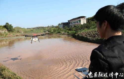 无人机作业助力春耕