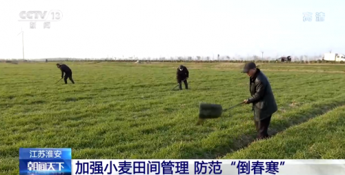 各地气温回升 各项农业生产正在进行