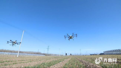56秒丨“无人机飞防”上线！潍坊青州调配500台套先进农机保障“春耕”