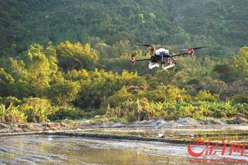 年轻农民科技种田告别面朝黄土背朝天 无人机成春耕好帮手