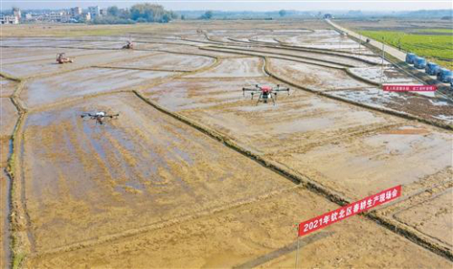 无人机：春耕生产显身手