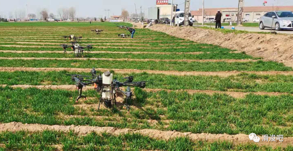 壮观！滑县181万亩小麦，150架无人机！