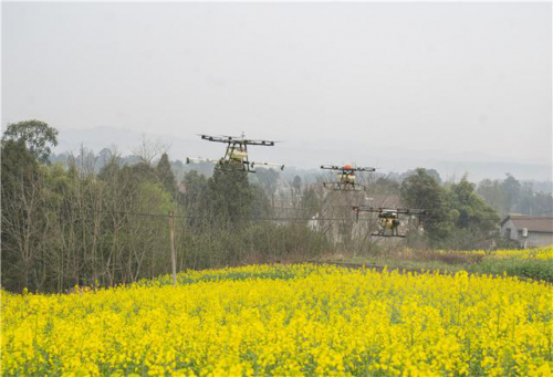 《新春走基层》｜比人工快13倍！15台无人机喷洒农药，4000多亩地一天搞定