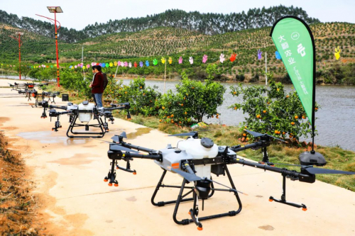 【服务三农 春季大行动】无人机“飞防”为春耕“添翼”