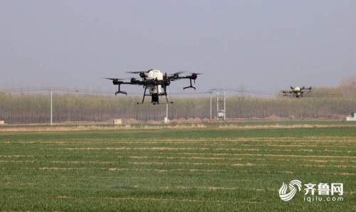 无人机植保，农技专家上门指导 齐河80万亩粮食绿色高质高效示范区这样春管
