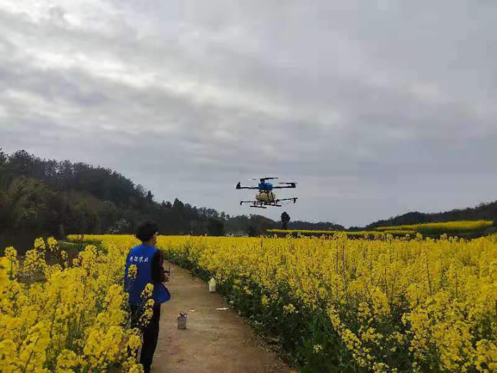 北川：无人机为农作物病虫害统防统治工作插上科技翅膀