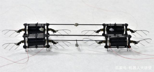 多位华人学者联手打造「高灵敏抗碰撞、弹性飞行」的昆虫无人机！