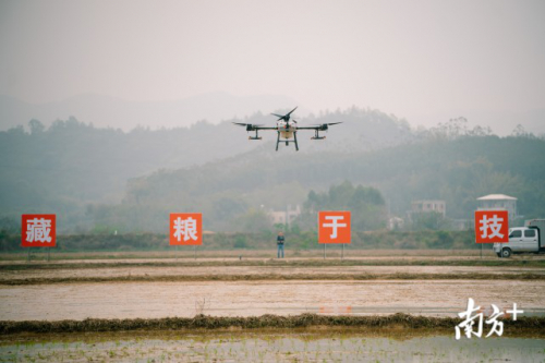 无人机飞播！惠州春耕秀身手