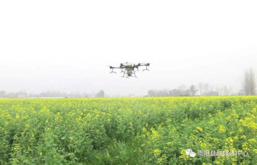 崇阳：农技员下田 无人机上岗