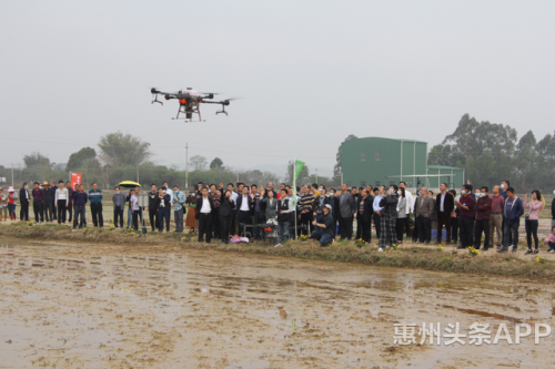 无人机飞播插秧机秒插 黑科技精准渗透田间