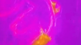 无人机紧急出动！隐秘的角落里，终于找到了他…