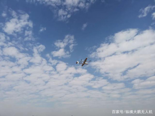 纵横大鹏无人机助力，提速“海岸卫士”保护修复