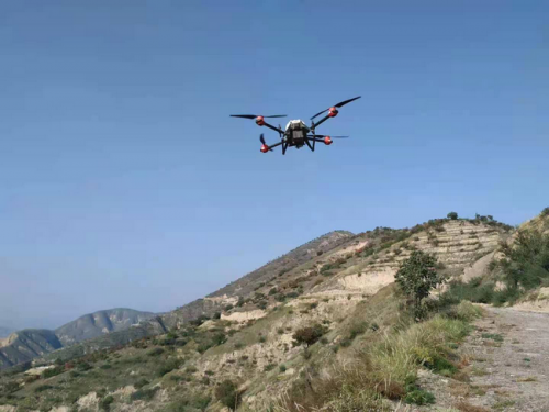 飞播代替人工植树？种草代替种树？