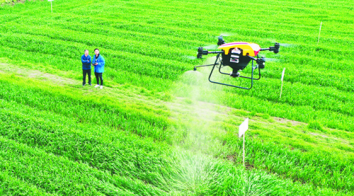 庐江：无人机帮助农民“灾年不减产，丰年更高产”