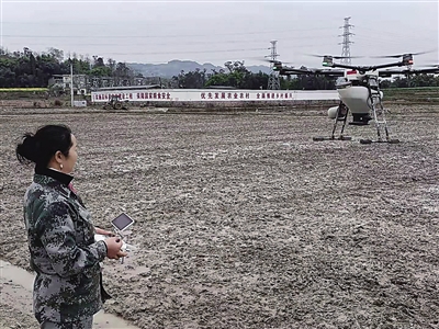 利用无人机种田 她是乡亲们的田保姆
