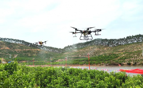 广西金秀：无人机喷洒农药防治柑桔黄龙病