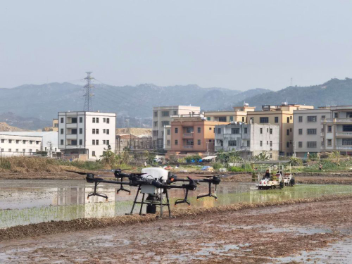 汕头市举办农业科技下乡活动，田间地头教学无人机播种