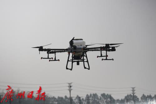 水稻直播机、无人驾驶插秧机……田间上演“黑科技”春播大片