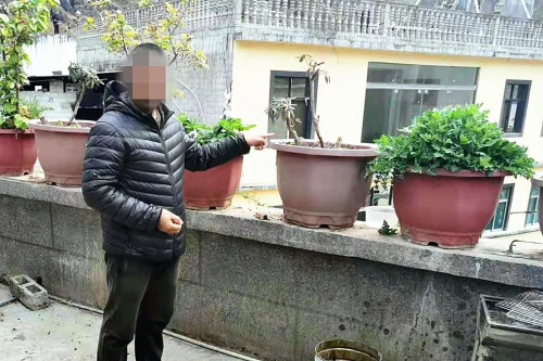 昭通永善：无人机巡查让非法种植罂粟“无处遁形”