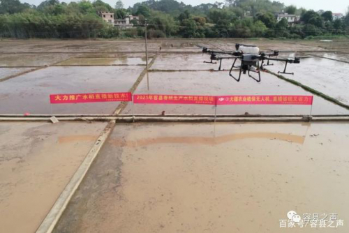 厉害！容县这里使用无人机水稻播种，一个小时能播50亩！