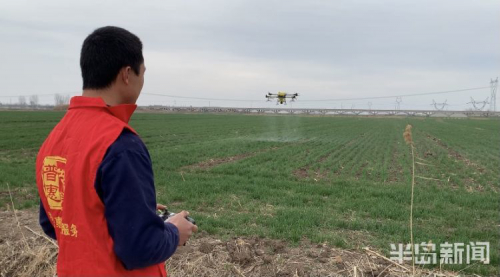 机械化种植成青岛春耕主力 无人机飞手年入20万