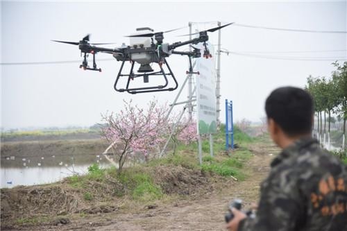 江陵县：用无人机投放饲料 为乡村振兴助力