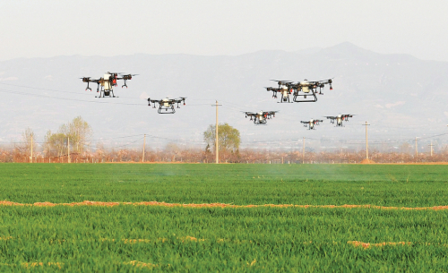 无人机当上“田保姆”