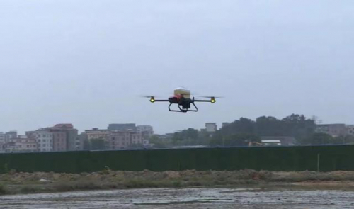 两三分钟播种一亩田，无人机在白云越来越流行了