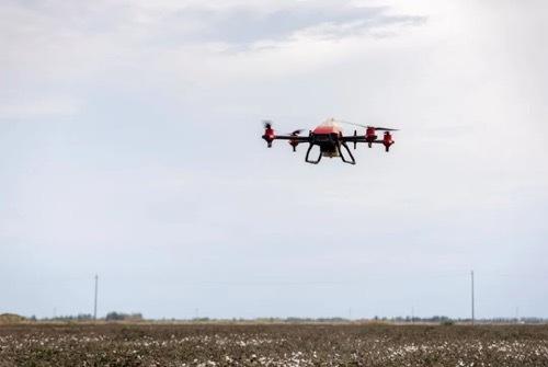 北斗导航、无人机杀虫施肥…这些粤企在新疆用科技种棉花