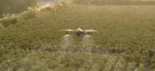 新疆棉田上空的无人机