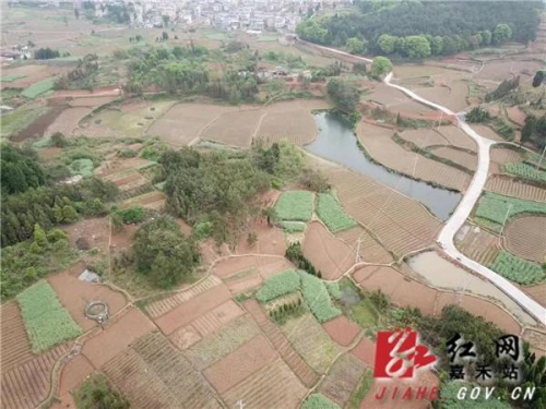 普满乡：无人机巡查山林 确保实现清明期间“零火情”