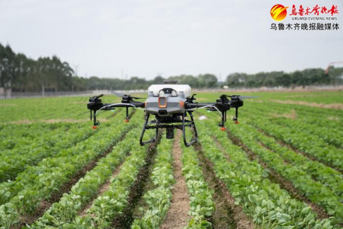 播种：无人驾驶拖拉机行走误差小于2.5㎝